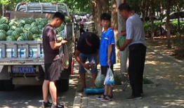 息县吃瓜群众爆料最新视频,吃瓜群众视频揭秘惊人真相